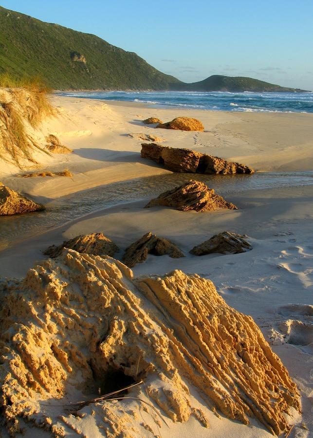Coalmine Beach Holiday Park Walpole Bagian luar foto